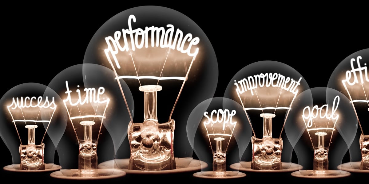 Performance Management Cycle