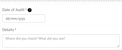 Custom form builder: date of audit and details